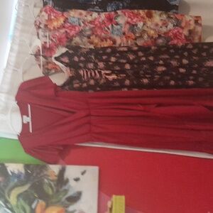 Nicole Miller Red Faux Maxi